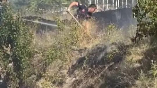 Yangında mahsur kalan kaplumbağaya itfaiyeden yardım eli