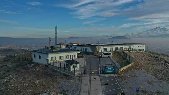 Yaralı köpek, büyükşehir ile yeniden hayata tutundu