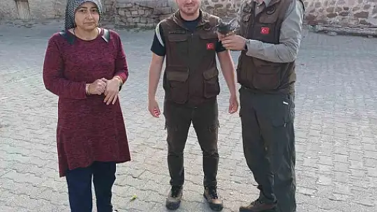 Yaralı kuşlar, tedavi edilerek doğaya bırakılacak