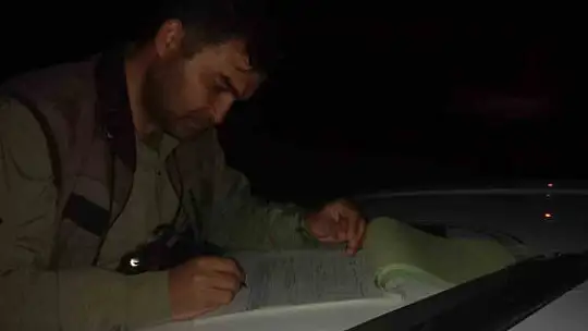 Yasa dışı ava suçüstü