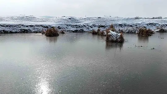 Yazın safari kışın buz pisti