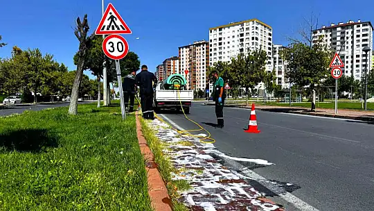 Yeşil alanlarda hastalık ve zararlılara karşı mücadele sürüyor