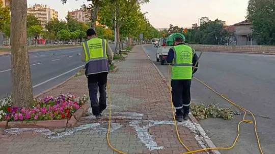 Yeşil alanlarda hastalık ve zararlılara karşı mücadele sürüyor
