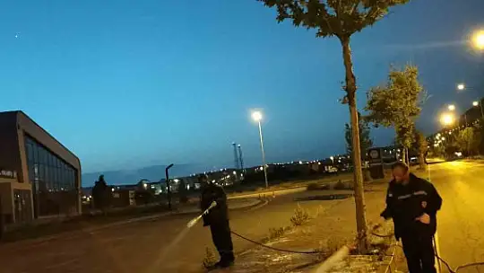 Yeşil alanlarda ilaçlama çalışması sürüyor