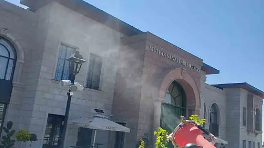 Yeşil alanlarda ilaçlama çalışması sürüyor
