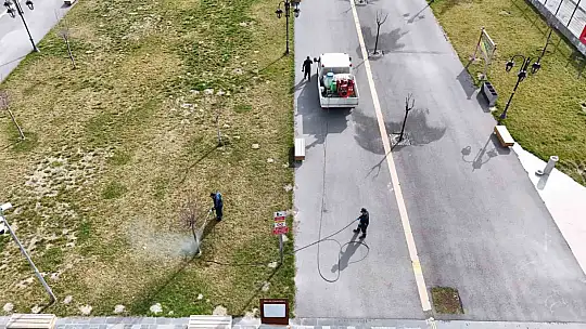 Yeşil alanlarda ilaçlama seferberliği başladı