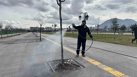 Yeşil alanlarda ilaçlama seferberliği başladı