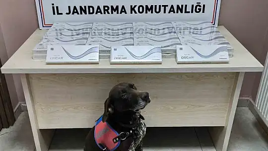 Yol kontrolünde 930 paket kaçak sigara ele geçirildi