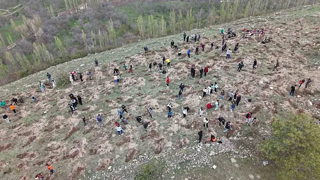 3 bin fidanı toprakla buluşturan büyükşehirden 'Gesi Ağaçlandırma Şenliği'