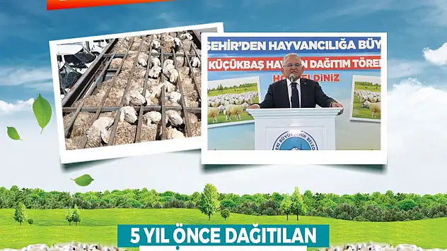 Başkan Büyükkılıç'tan kırsala, kendi kendini büyüten model: 150 bin küçükbaş artışı