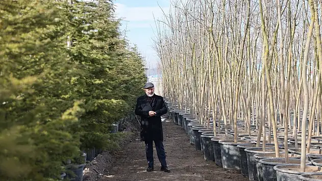 Başkan Çolakbayrakdar: 'Şehrin yeşil geleceğini Kocasinan'da inşa ediyoruz'