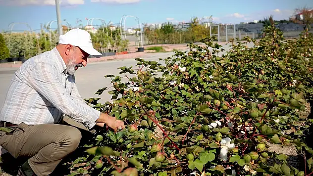Başkan Çolakbayrakdar: 'Türkiye'nin en kapsamlı fidanlığıyla Kayseri'nin yeşil dokusu zenginleşiyor'