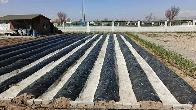 Büyükşehirin Doğal Ürünler Bahçesi ve Pazarı'nda yeni sezon hazırlığı