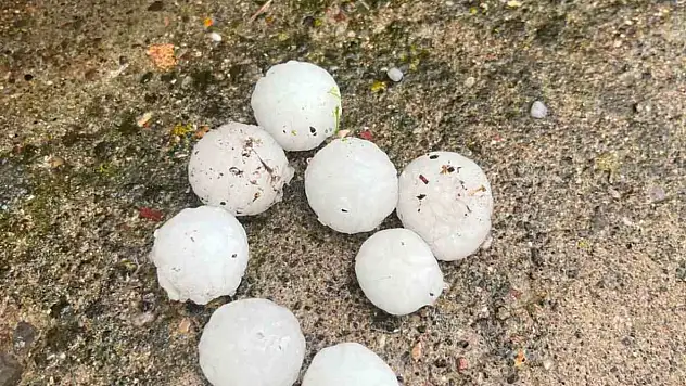 Ceviz büyüklüğünde yağan dolu ağaçlara zarar verdi