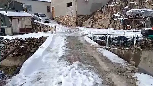 Develi'de mahalleli köprüye korkuluk istiyor