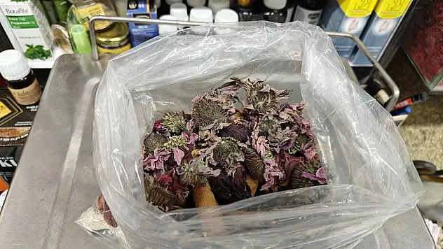 Geçmeyen öksürüğe 'bitkisel' karışım