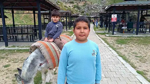 Homurlu'da eşek turları başladı