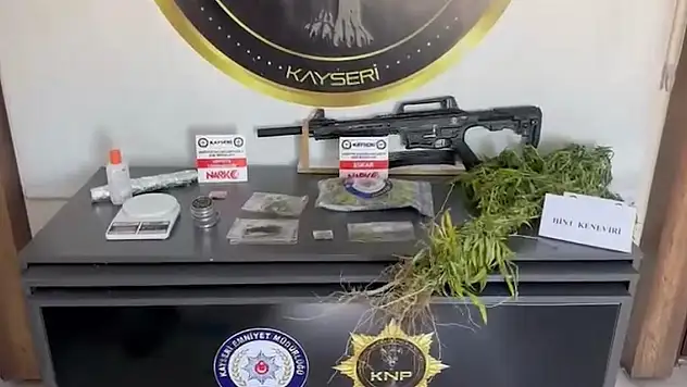 Kayseri'de 287 kök kenevir ele geçirildi: 1 gözaltı