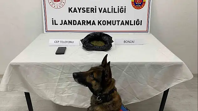 Kayseri'de uyuşturucu operasyonu: 1 gözaltı