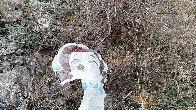 Develi'de paramotor paniği