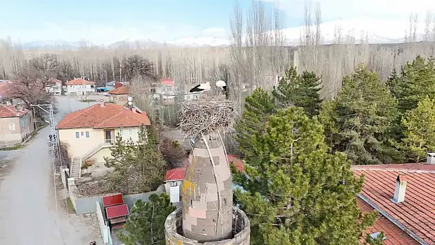 Şıhbarak mahallesinde baharın müjdecisi leylekler yuvalarına döndü