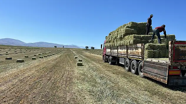 Talas Belediyesi'nden yem desteği