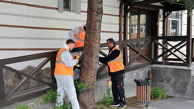 Talas'tan çevre dostu ilaçlama atağı