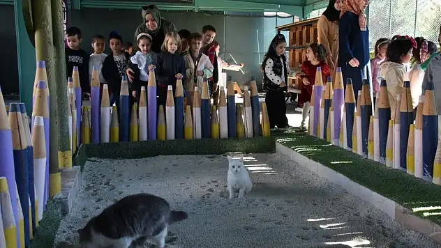 Türkiye'de ilk olan 'Küçük Dostlar Ambulansı' ile 10 bin 280 can kurtarıldı