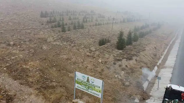 Yahyalı'ya bin 200 fidan dikildi