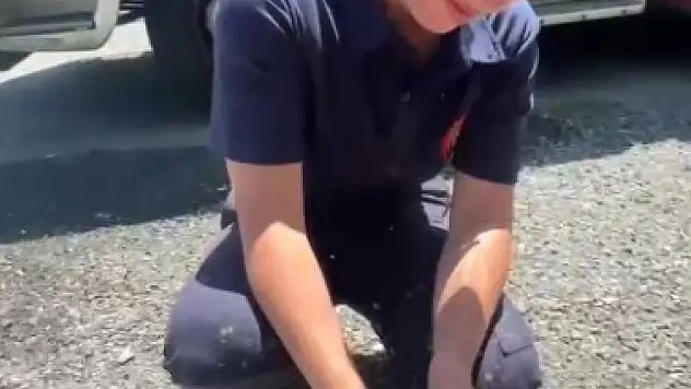 Yangında mahsur kalan kaplumbağaya itfaiyeden yardım eli