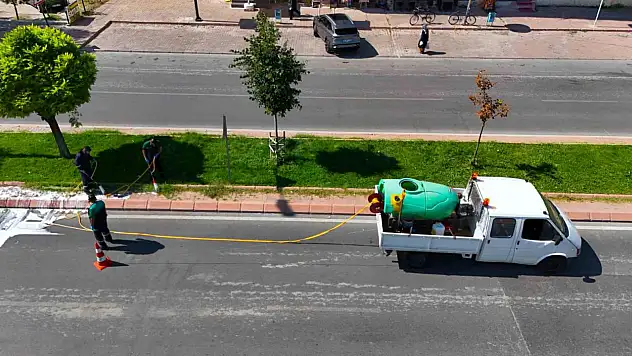 Yeşil alanlarda hastalık ve zararlılara karşı mücadele sürüyor