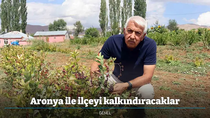 Aronya ile ilçeyi kalkındıracaklar