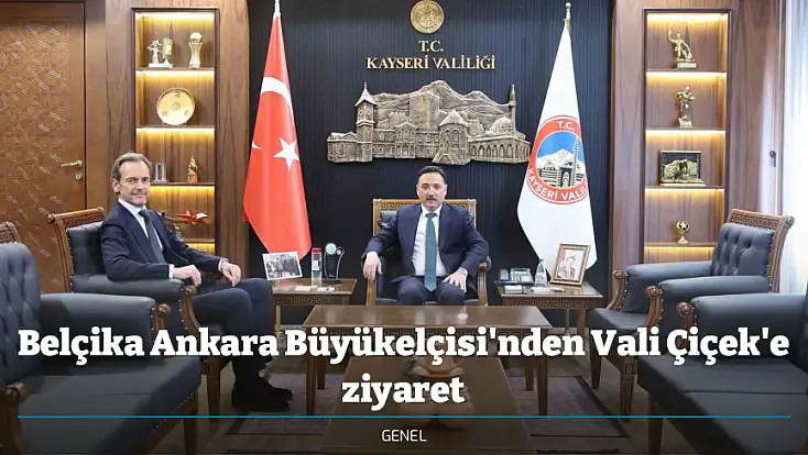Belçika Ankara Büyükelçisi'nden Vali Çiçek'e ziyaret