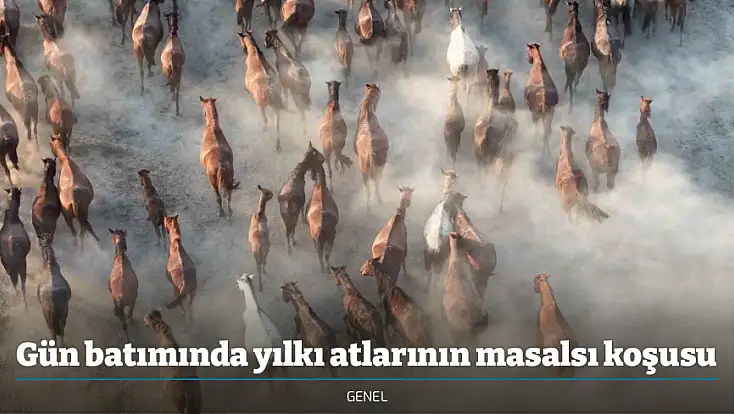 Gün batımında yılkı atlarının masalsı koşusu