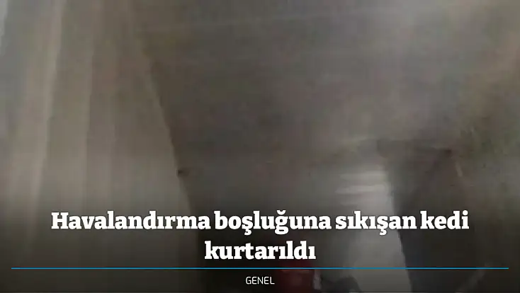 Havalandırma boşluğuna sıkışan kedi kurtarıldı