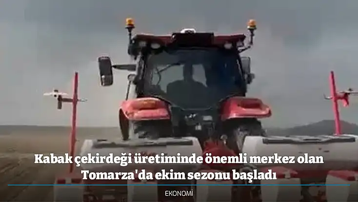 Kabak çekirdeği üretiminde önemli merkez olan Tomarza'da ekim sezonu başladı