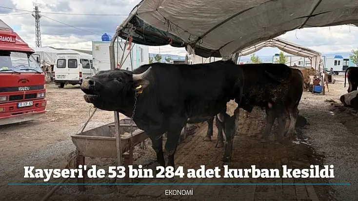 Kayseri'de 53 bin 284 adet kurban kesildi