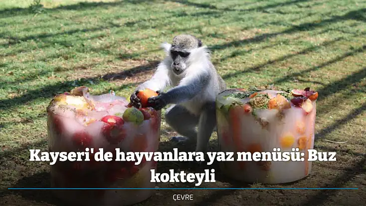 Kayseri'de hayvanlara yaz menüsü: Buz kokteyli