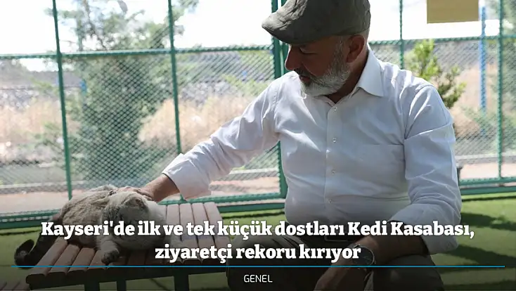 Kayseri'de ilk ve tek küçük dostları Kedi Kasabası, ziyaretçi rekoru kırıyor