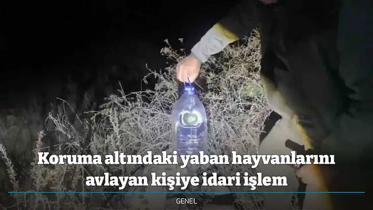 Koruma altındaki yaban hayvanlarını avlayan kişiye idari işlem