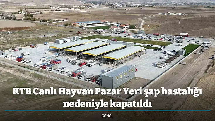 KTB Canlı Hayvan Pazar Yeri şap hastalığı nedeniyle kapatıldı