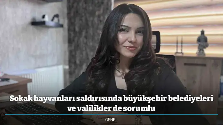 Sokak hayvanları saldırısında büyükşehir belediyeleri ve valilikler de sorumlu