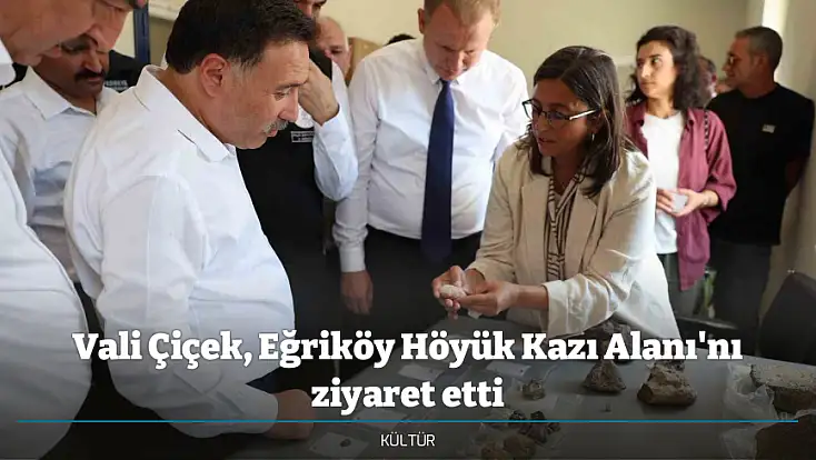 Vali Çiçek, Eğriköy Höyük Kazı Alanı'nı ziyaret etti
