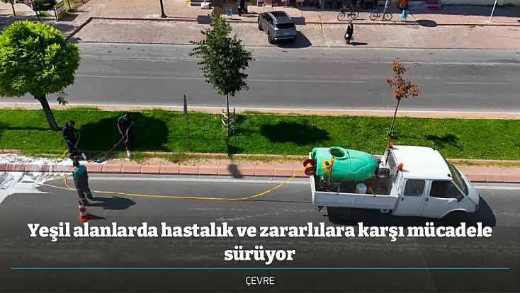 Yeşil alanlarda hastalık ve zararlılara karşı mücadele sürüyor