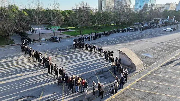 Bu da domates fidesi kuyruğu