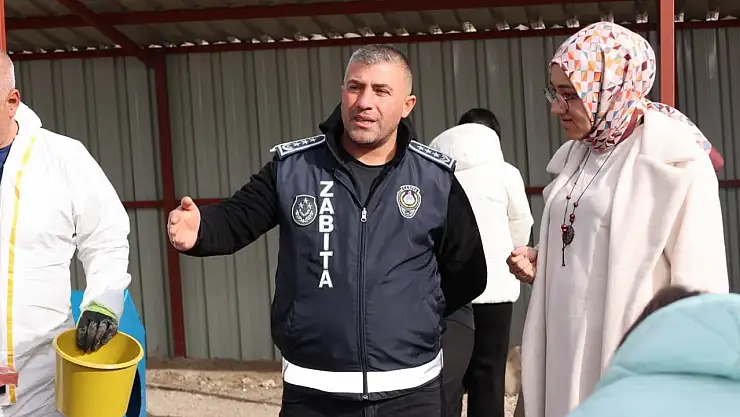 Bünyan'da öğrencilerden sokak hayvanları için anlamlı etkinlik