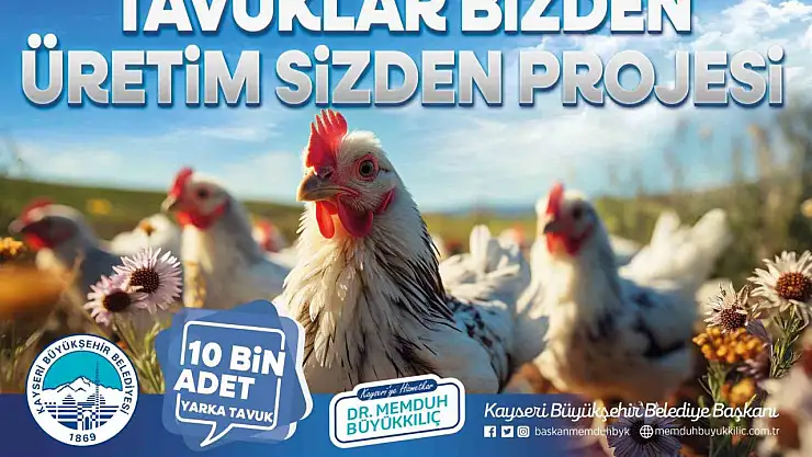 Büyükşehir, kırsaldaki kadın üreticilere 10 bin tavuk dağıtacak