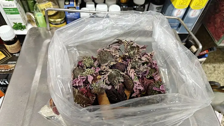 Geçmeyen öksürüğe 'bitkisel' karışım