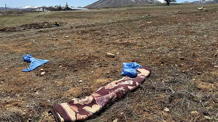 Kayseri'de başıboş köpeklerin saldırdığı yaşlı adam hayatını kaybetti