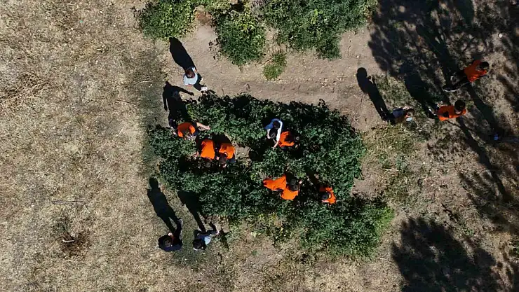 Kayseri'de ilkokul öğrencileri meyve bahçelerinde üretim yapıyor